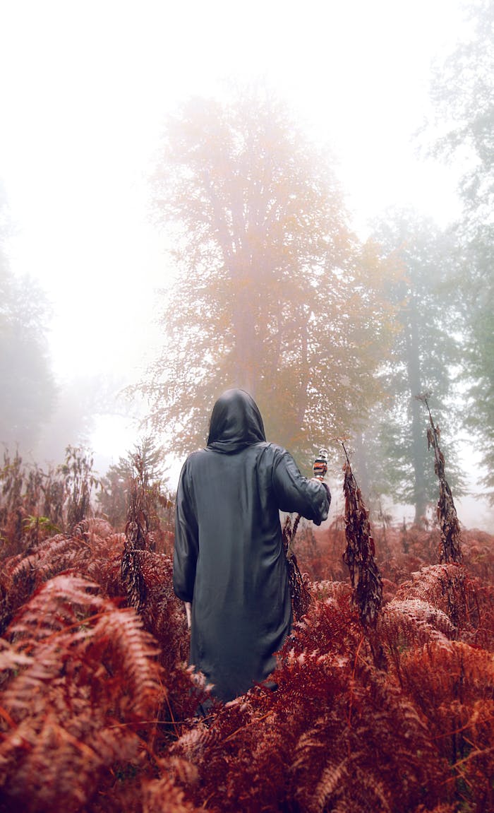 Services-01 A hooded figure stands amidst a foggy autumn forest, evoking mystery and intrigue.